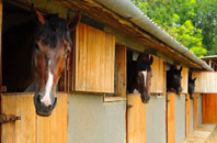 free Staplehay stable construction quotes